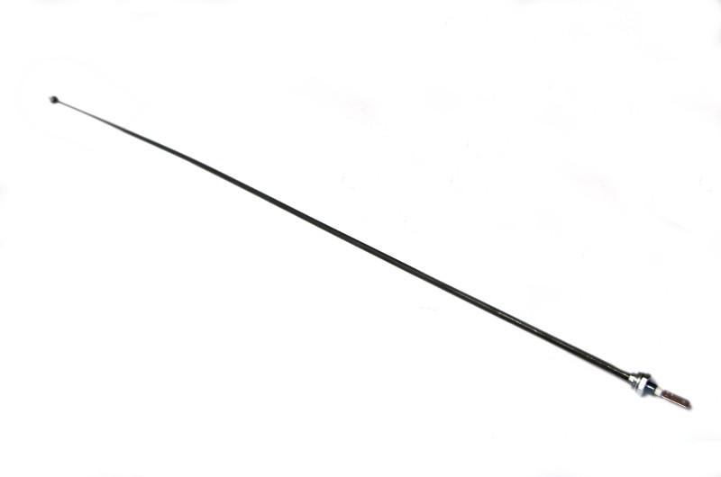 IMGP8565.JPG