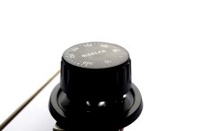 IMGP9100.JPG